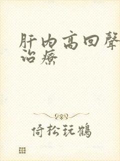 肝内高回声结节治疗