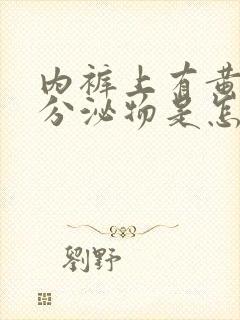 内裤上有黄黄的分泌物是怎么回事不痒