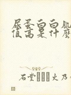 尿蛋白白肌酐比值高是什么意思