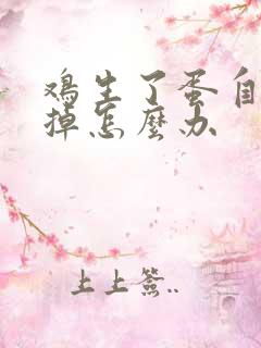 鸡生了蛋自己吃掉怎么办