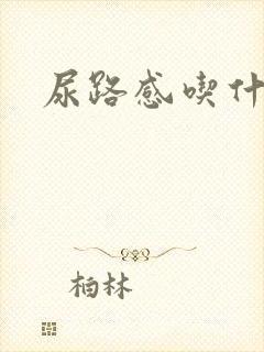 尿路感吃什么药