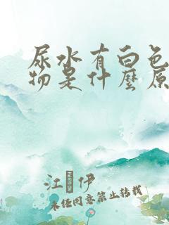 尿水有白色沉淀物是什么原因