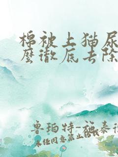 棉被上猫尿味怎么彻底去除