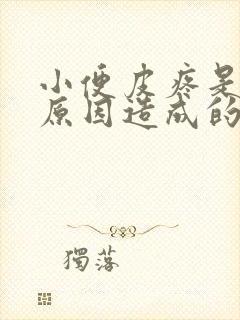 小便皮疼是什么原因造成的