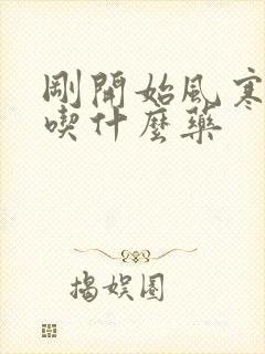 刚开始风寒感冒吃什么药