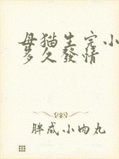 母猫生完小猫后多久发情