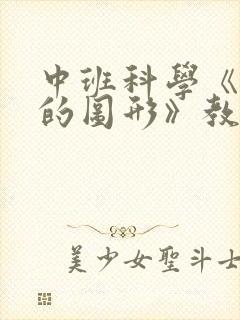 中班科学《有趣的图形》教案