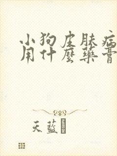 小狗皮肤病掉毛用什么药膏