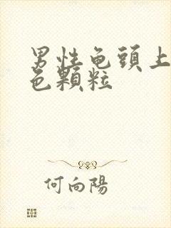 男性龟头上有白色颗粒