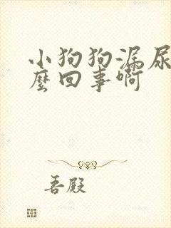 小狗狗漏尿是怎么回事啊