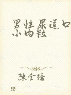 男性尿道口边有小肉粒