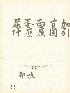 尿蛋白有加号是什么原因引起的