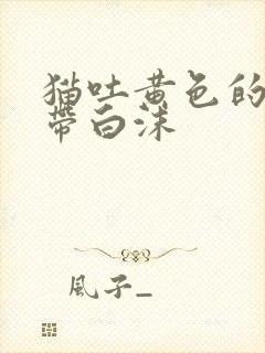 猫吐黄色的液体带白沫