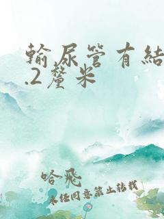 输尿管有结石1.2厘米