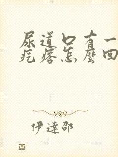 尿道口有一个小疙瘩怎么回事