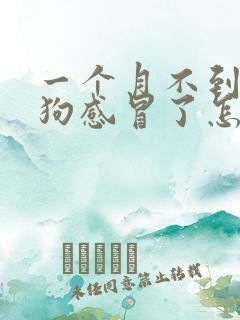 一个月不到的小狗感冒了怎么办