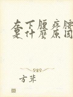 左下腹疼腰也疼是什么原因呢