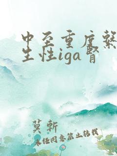 中至重度系膜增生性iga肾