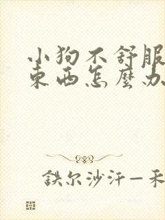 小狗不舒服不吃东西怎么办