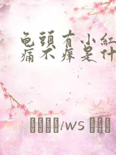 龟头有小红点不痛不痒是什么原因