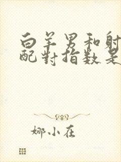 白羊男和射手女配对指数是多少