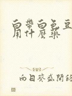 白带白色豆腐渣用什么药