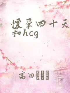 怀孕四十天孕酮和hcg