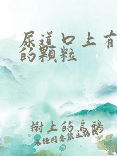 尿道口上有白色的颗粒