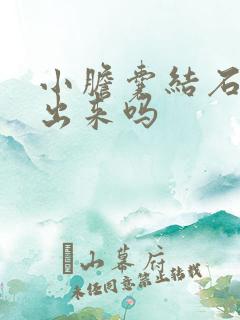 小胆囊结石能排出来吗