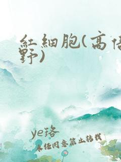 红细胞(高倍视野)