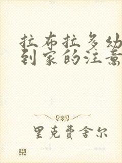 拉布拉多幼犬刚到家的注意事项