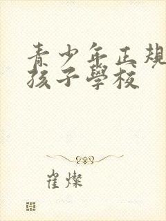 青少年正规叛逆孩子学校