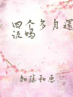 四个多月还能药流吗