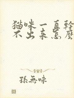 猫咪一直干呕吐不出来怎么回事