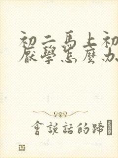 初二马上初三了厌学怎么办