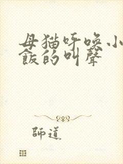 母猫呼唤小猫吃饭的叫声