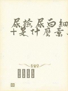 尿检尿白细胞2+是什么意思