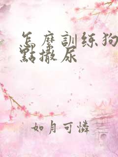 怎么训练狗狗定点撒尿