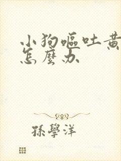 小狗呕吐黄水该怎么办