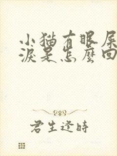 小猫有眼屎流眼泪是怎么回事