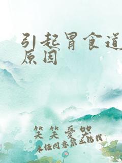 引起胃食道反流原因