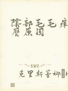 阴部毛毛痒是什么原因