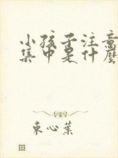 小孩子注意力不集中是什么原因