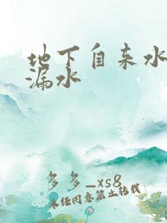 地下自来水管查漏水