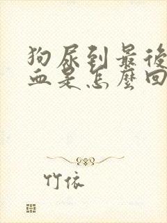 狗尿到最后滴了血是怎么回事