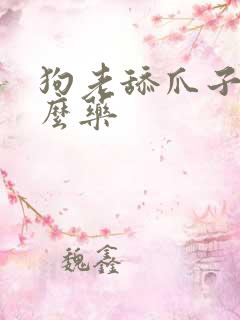 狗老舔爪子用什么药