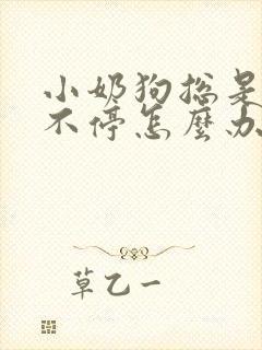 小奶狗总是叫个不停怎么办