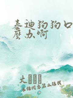 泰迪狗狗口臭怎么办啊