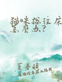 猫咪总往床上尿怎么办?