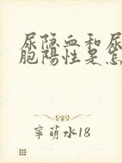 尿隐血和尿白细胞阳性是怎么回事